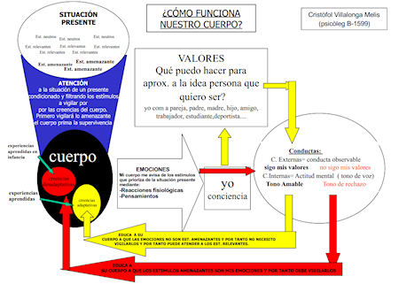 ¿CÓMO FUNCIONA NUESTRO CUERPO? 